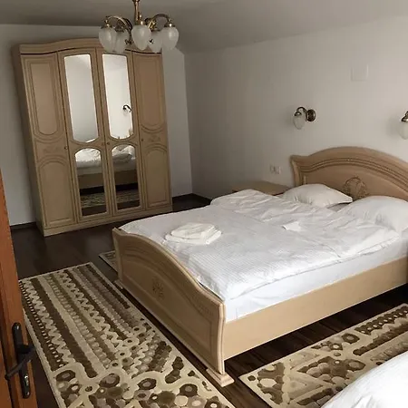 Fan Confort Vişeu de Sus