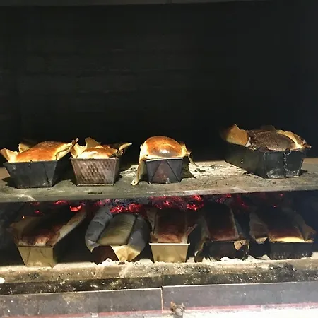 Fan Confort Gasthuis Vişeu de Sus
