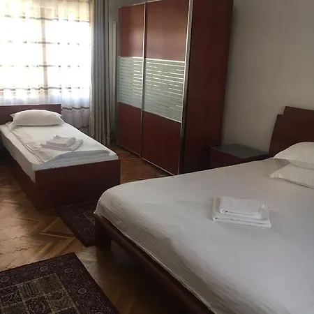 Gasthuis Fan Confort Vişeu de Sus