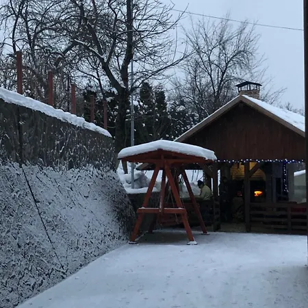 Gasthuis Fan Confort Vişeu de Sus