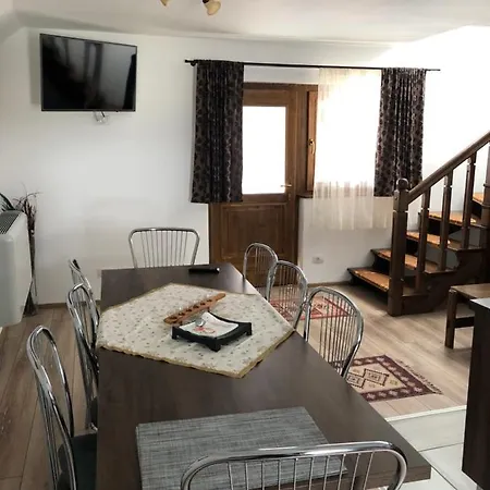 Gasthuis Fan Confort Vişeu de Sus